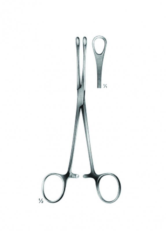 Organ - Tissue Grasping, Intestinal and Dissecting Forceps